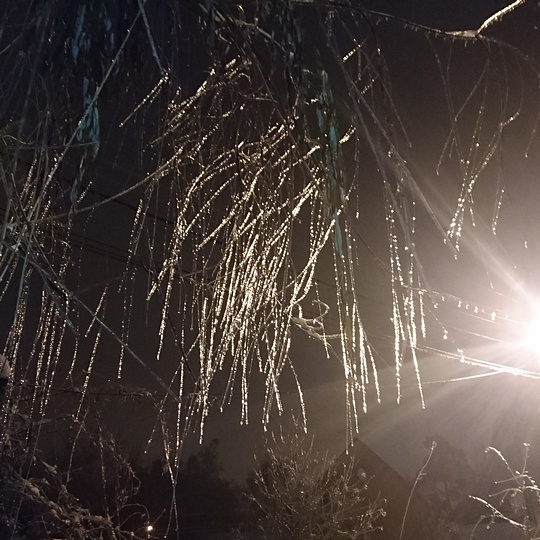 Лесной городок , Irina.Grinchenko, Лесной городок