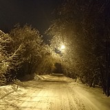 Лесной городок 