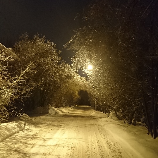 Лесной городок , Irina.Grinchenko, Лесной городок