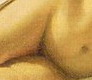 rembrandt