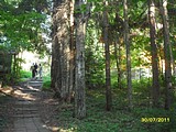 SAM 0124