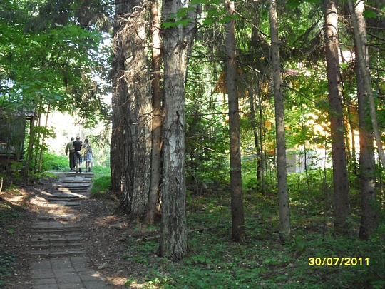 SAM 0124, Наш лес., biostan1991, Звенигородская биостанция МГУ, Звенигородская биостанция МГУ д.12