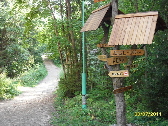 SAM 0126, Наш лес., biostan1991, Звенигородская биостанция МГУ, Звенигородская биостанция МГУ д.12