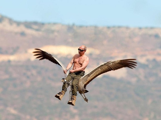 путин со стерхами, общий 2, maslov
