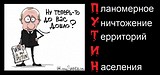 LYbir