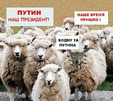 бодну!