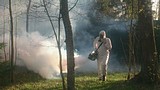 дезинфектолог Одинцово