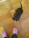 Каспер