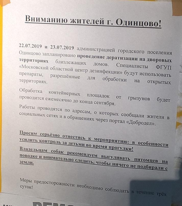 Объявление