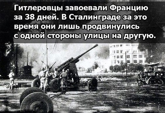 День победы  9 мая, nkolbasov, Одинцово, Ново-Спортивная д.6