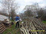 Участок зарастает осинами, дрова на шашлыки.