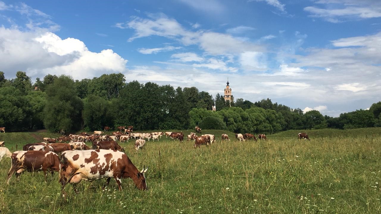 Великолепные виды на село Уборы и Храм, которыми пока еще могут любоваться жители Одинцовского района 