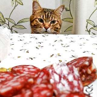 n обработано