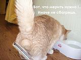 Вот, что мерить нужно...