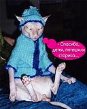 самец кошки