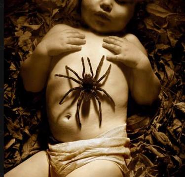 Новый раздел, fang, Одинцово, улица восточная