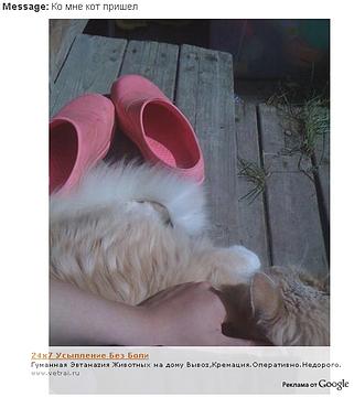 Новый раздел, fang, Одинцово, улица восточная