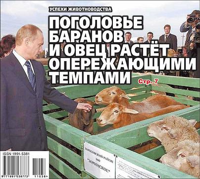 Частное., ivan-ivanov-1941, Россия, Подмосковье