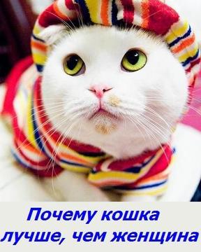 Кризис капитализма., nkolbasov, Одинцово, Ново-Спортивная д.6