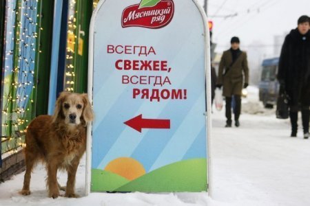 И СМЕХ И ГРЕХ !, nkolbasov, Одинцово, Ново-Спортивная д.6