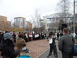Одинцово. Митинг в защиту леса. 13ноября2011г