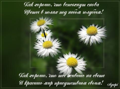 Истина. Добро. Красота., nkolbasov, Одинцово, Ново-Спортивная д.6